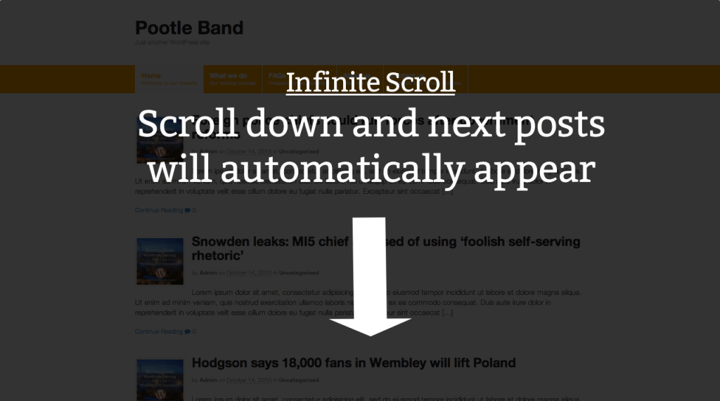 How to add Infinite Scroll to WooThemes Canvas in 2 simple steps 7