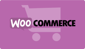 WooCommerce Customizer for WooThemes Canvas [Sneak preview video] 5