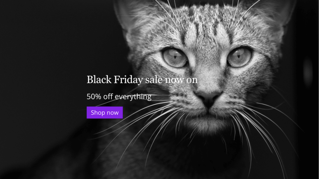 How to create a Black Friday Splash page in just 1 minute using Pootle Pagebuilder Pro 2