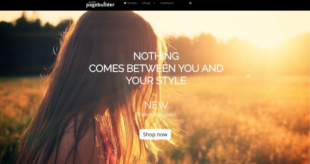 Our ambition to make Pootle Pagebuilder Pro the best WooCommerce Pagebuilder 3